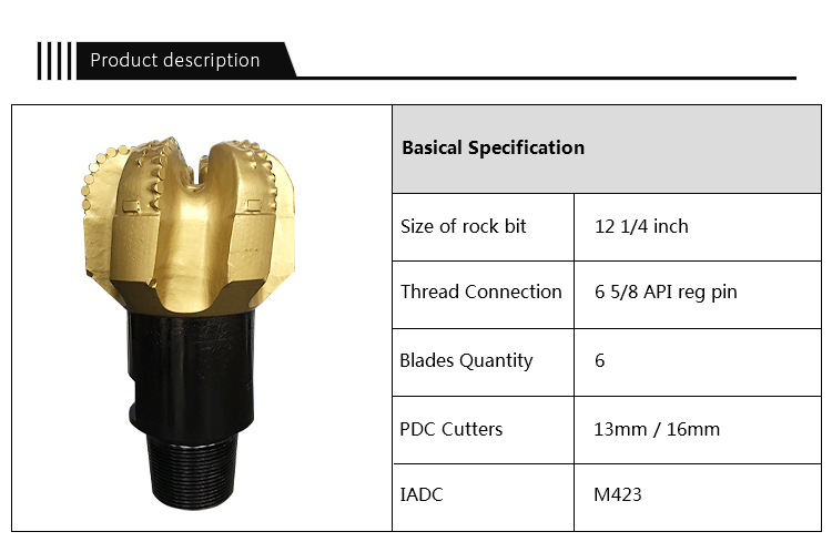 PDC DRILL BTIS